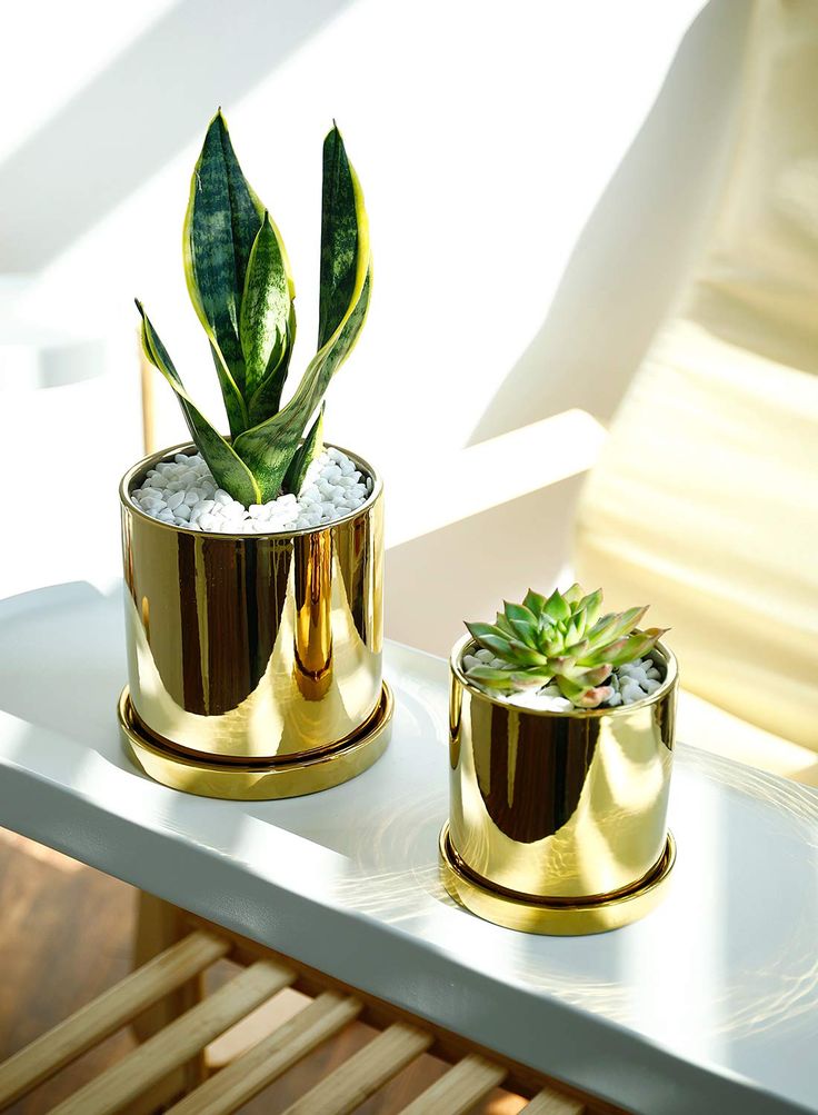 Ceramic Plant Pot Set 3pc