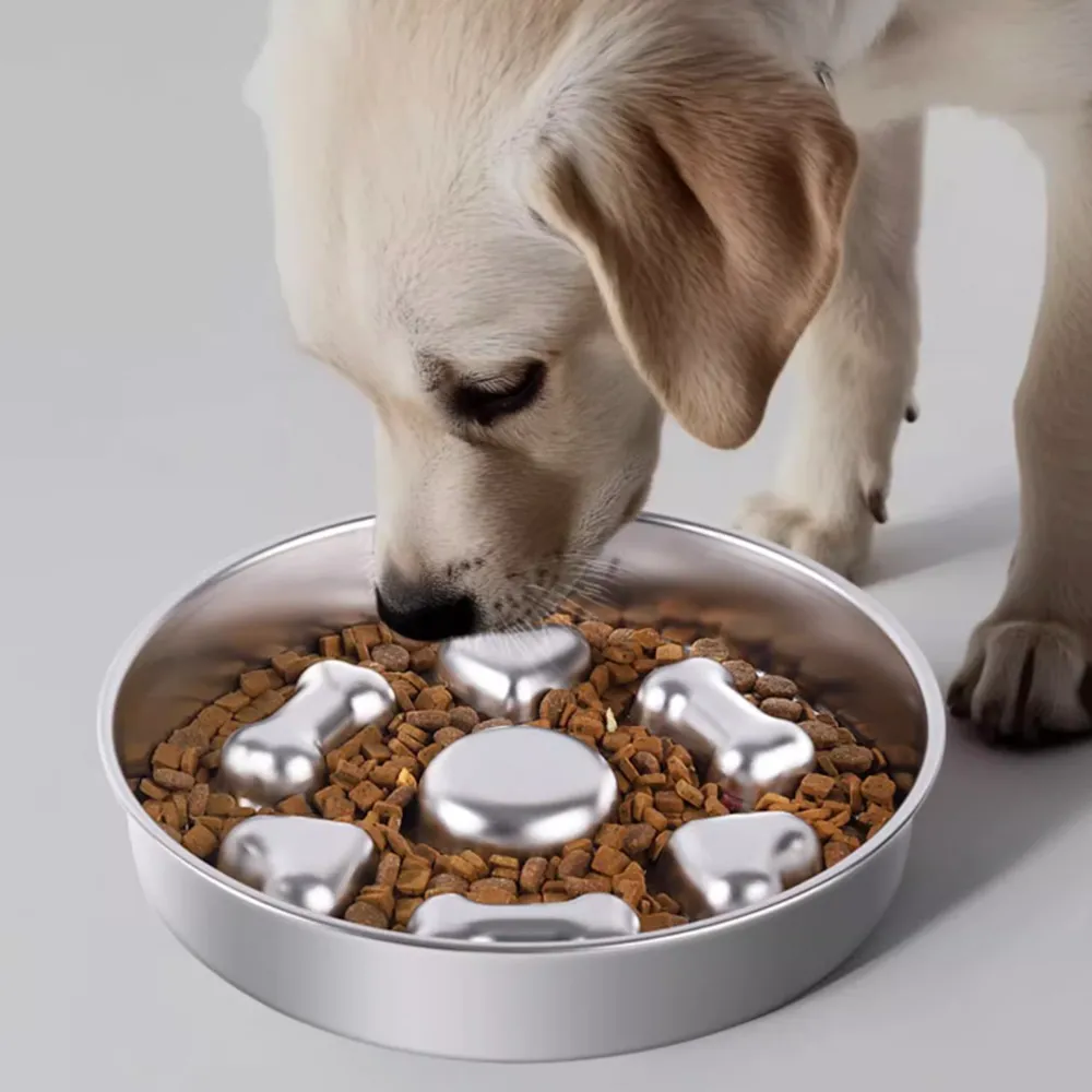 Stainless Pet Slow Feeder Bowl